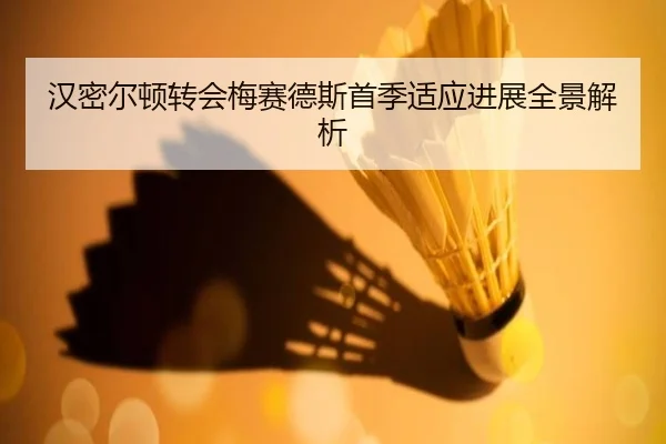 汉密尔顿转会梅赛德斯首季适应进展全景解析